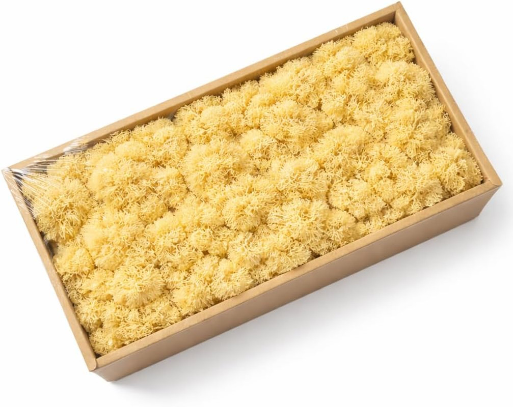 Preserved Reindeer Moss, 17.64Oz Natural Decorative for Home Decor, DIY Crafts,