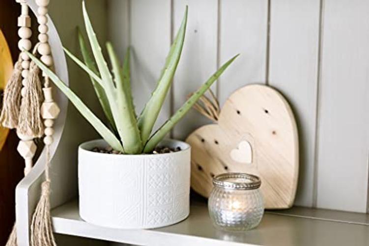Artificial Plant in White Ceramic Pot | 10″ high sage Green Faux Agave Plant