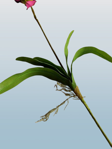 LARGE Artificial Paphiopedilum Lady Slipper Orchid on disc. BURGUNDY