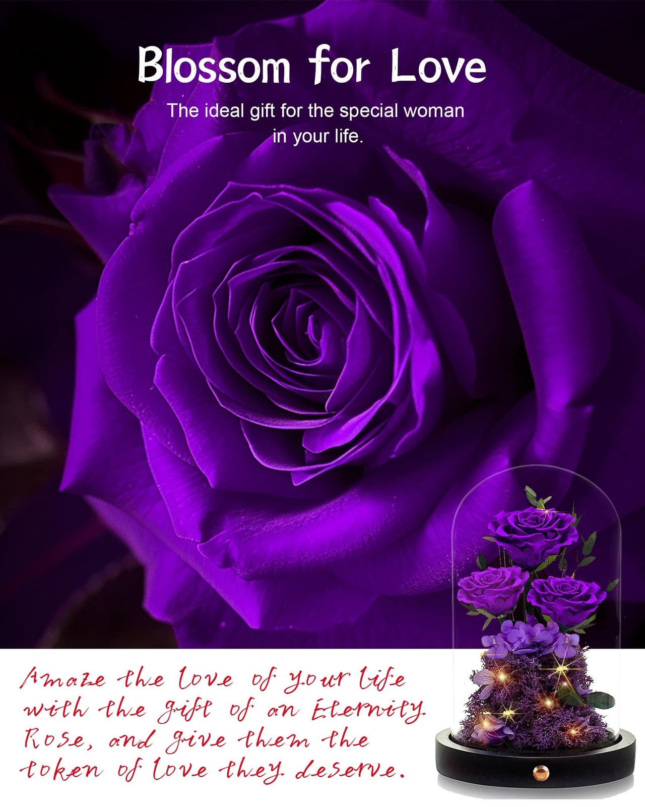 Valentines Day Flowers Roses Gifts for Her Preserved Roses in Glass Dome Fore…