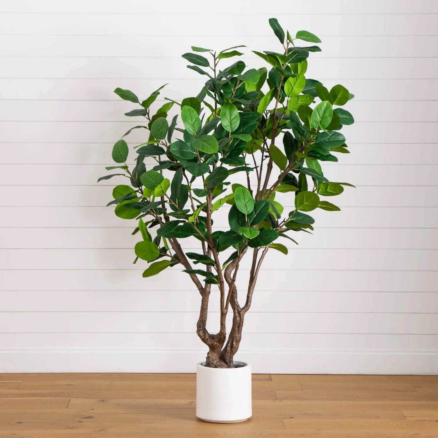 6’ Artificial Grand Audrey Ficus Leaf Tree in White Planter. Retail $435