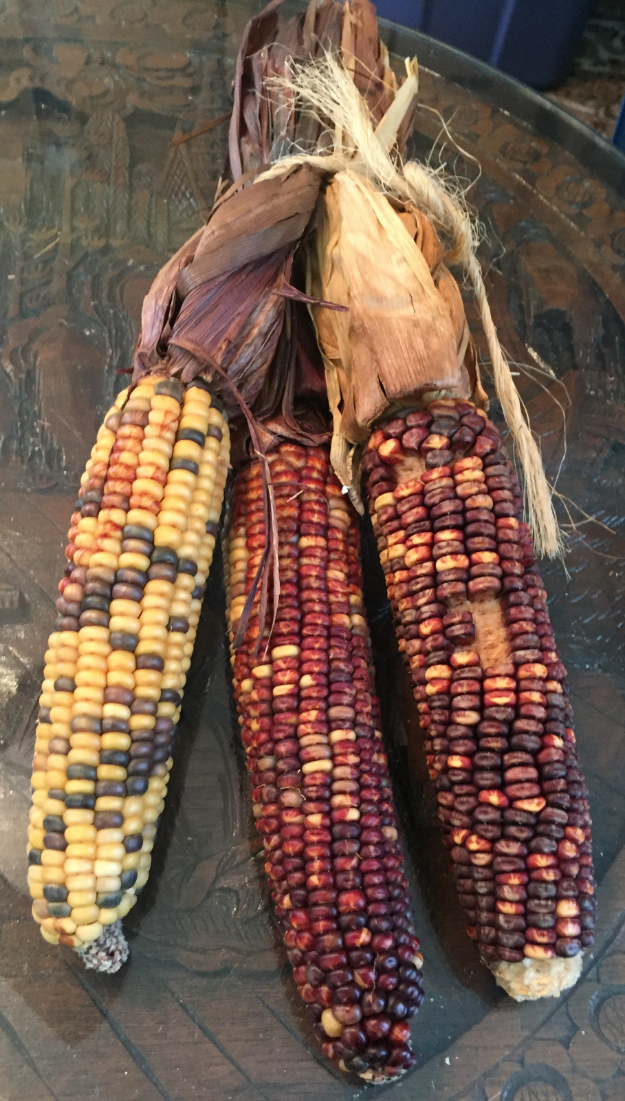 native american Indian Corn various lengths Thanksgiving Fall Decor