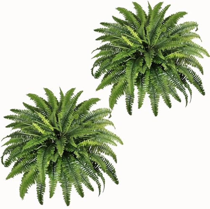 Large fern plants, suitable for outdoor and indoor use, 2 packs of 45-in
