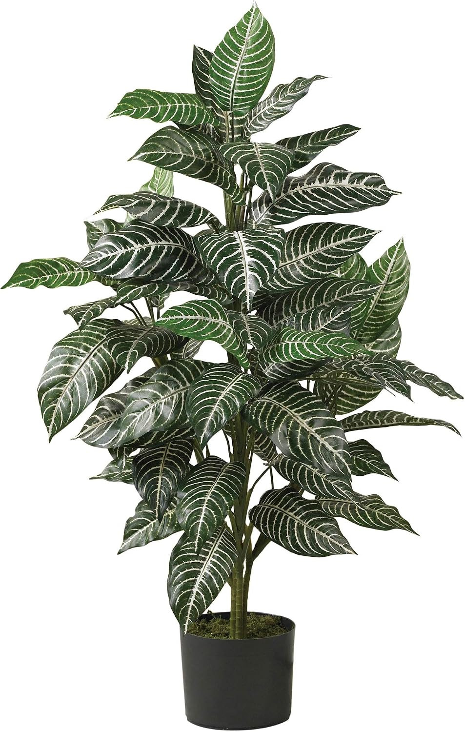 Lifelike 3Ft Zebra Silk Plant – Perfect for Home or Office Decor