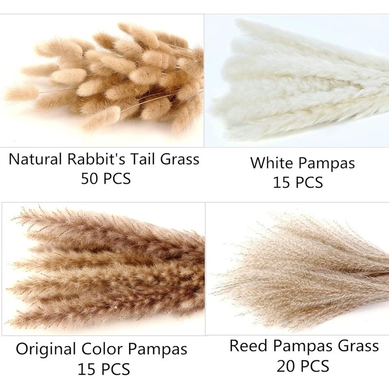 Natural Dried Pampas Grass Bouquet 100 Pieces Decor Home Wedding Events New