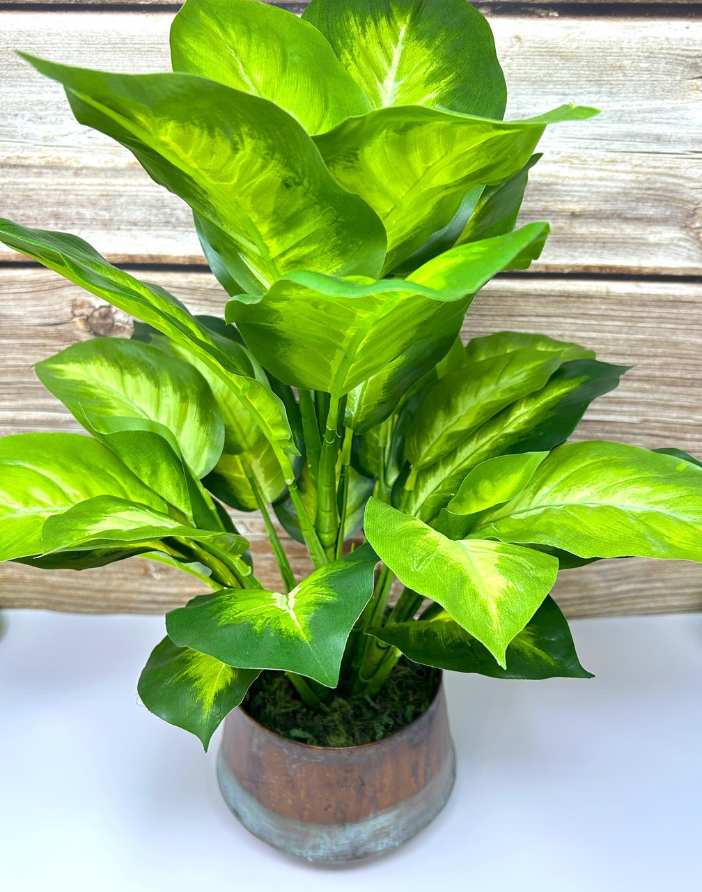 18″ Lg Artificial AGLAONEMA DIEFFENBACHIA faux Silk plant in Copper Pot