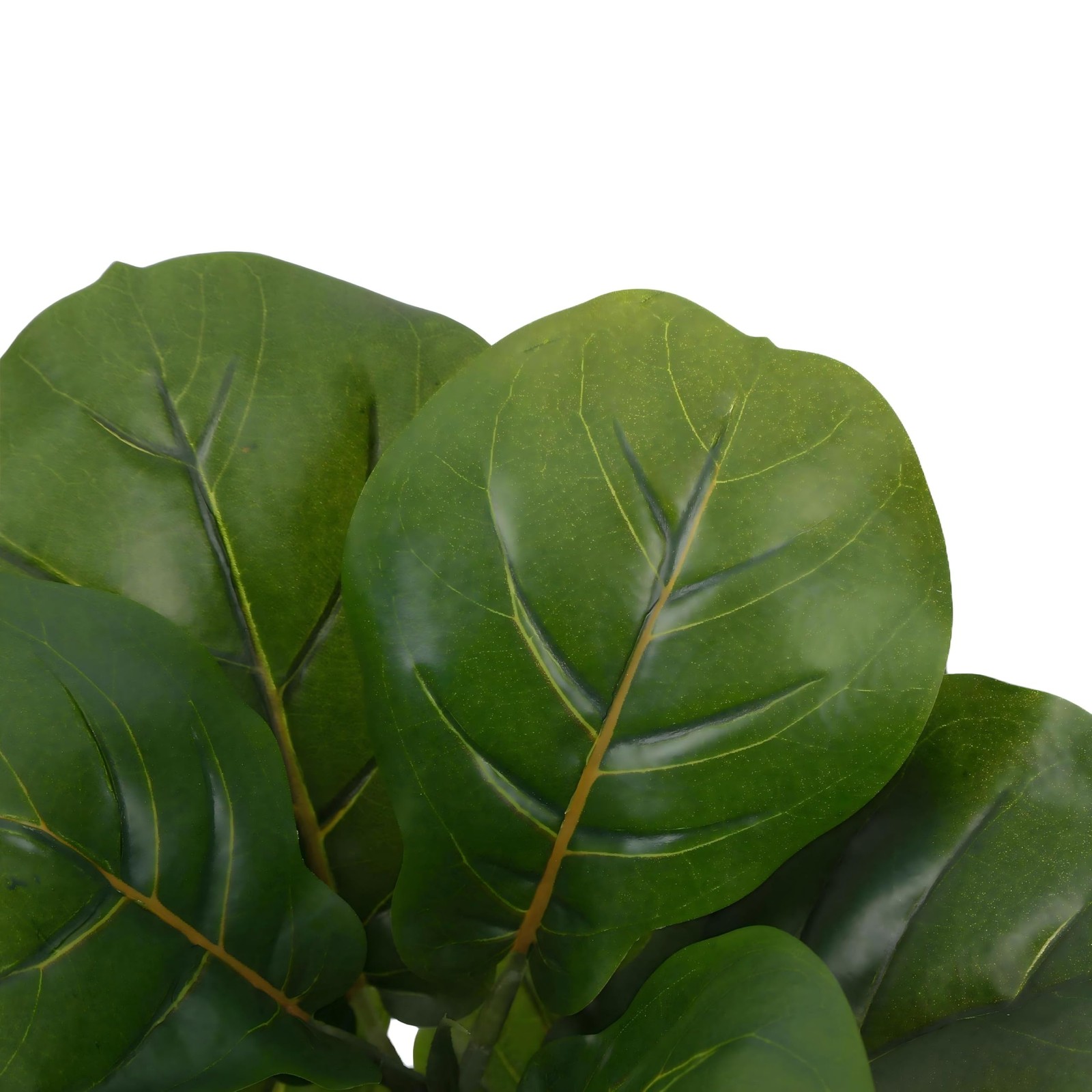 Alupssuc 1.5FT Artificial Fiddle Leaf Fig Tree with White 1ft 6in, Green