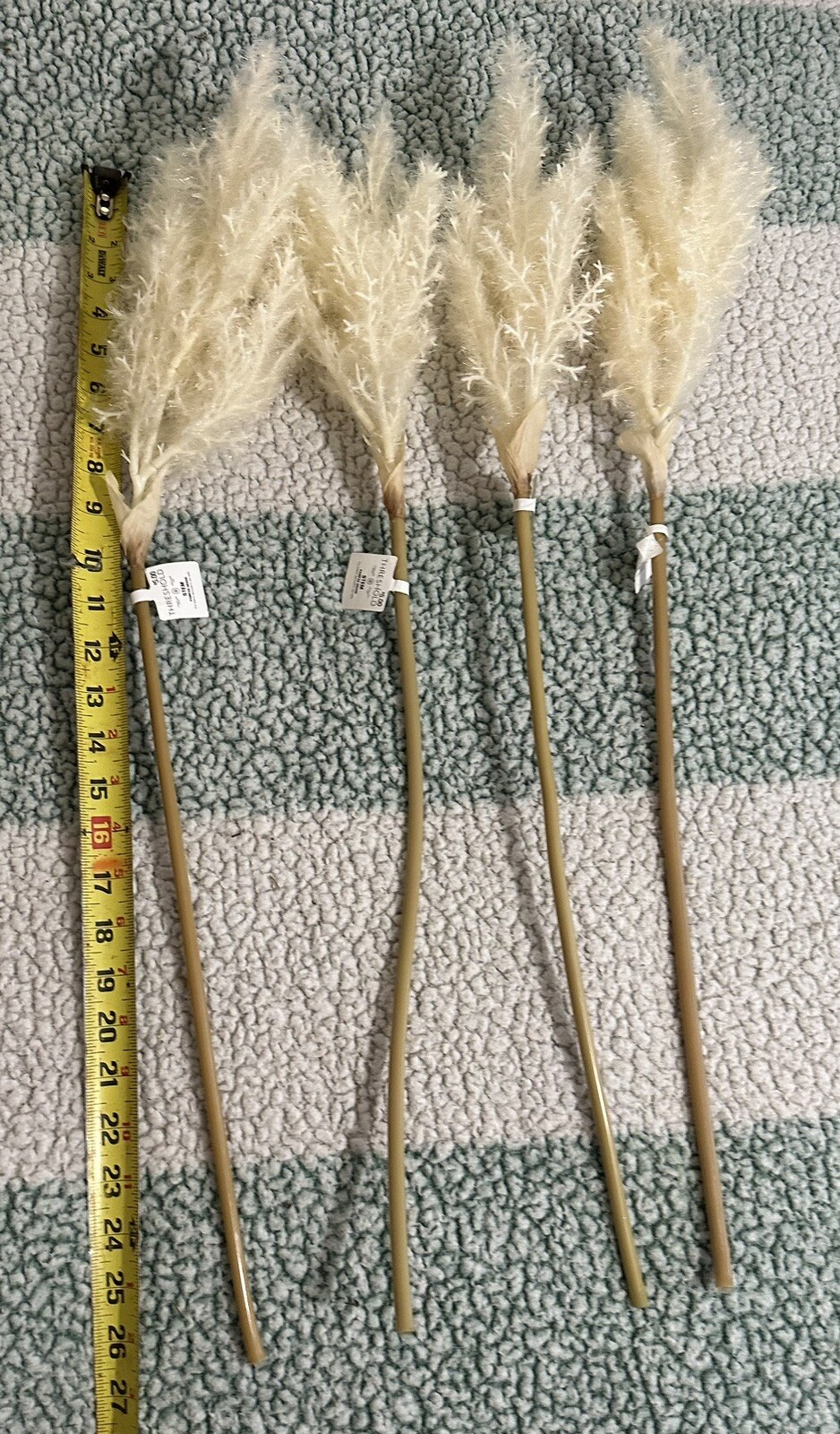 STEM PAMPAS GRASS For indoor decorative use Lot Of 4