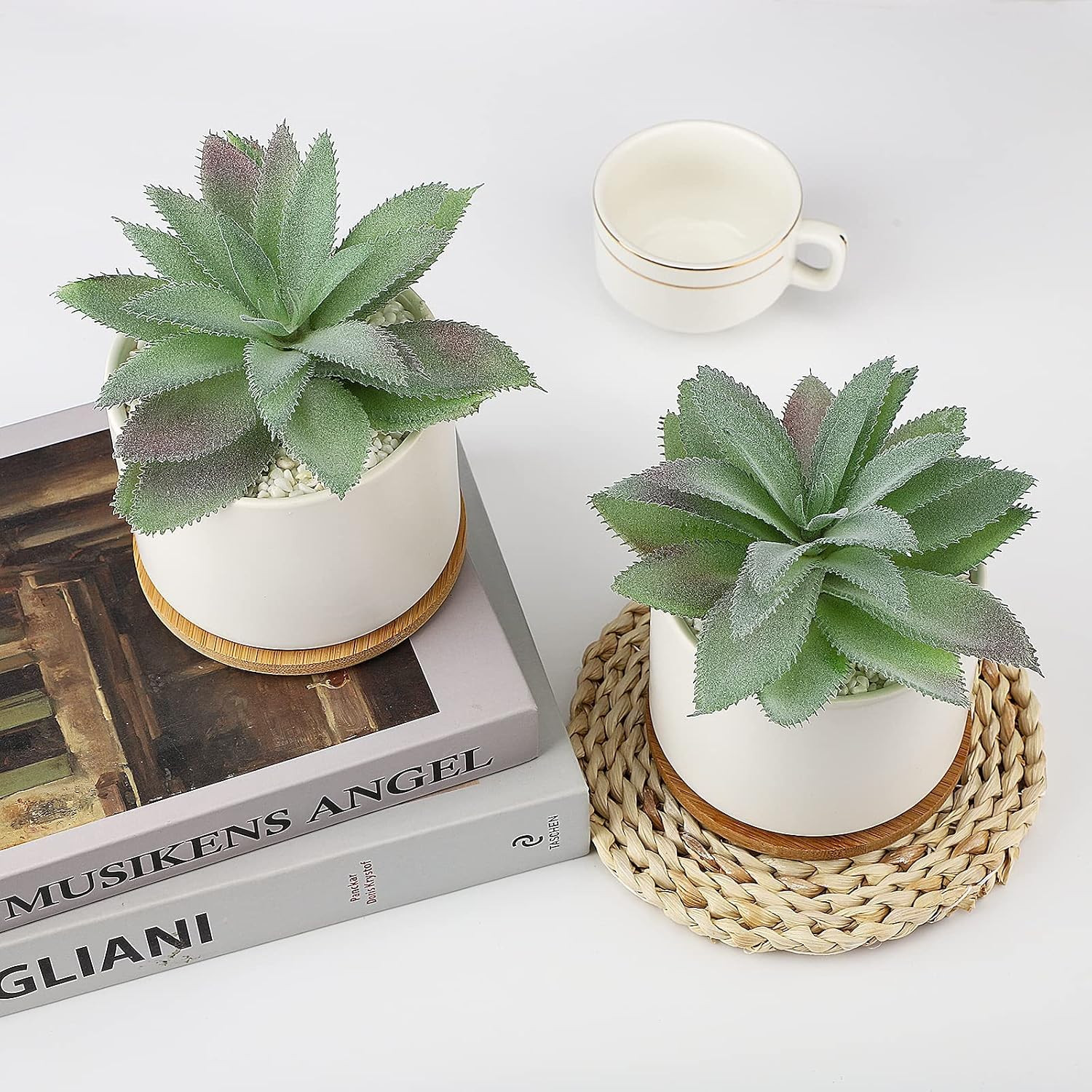Set of 2 Faux Agave Succulents in Ceramic Pots with Bamboo Tray for Home Decor