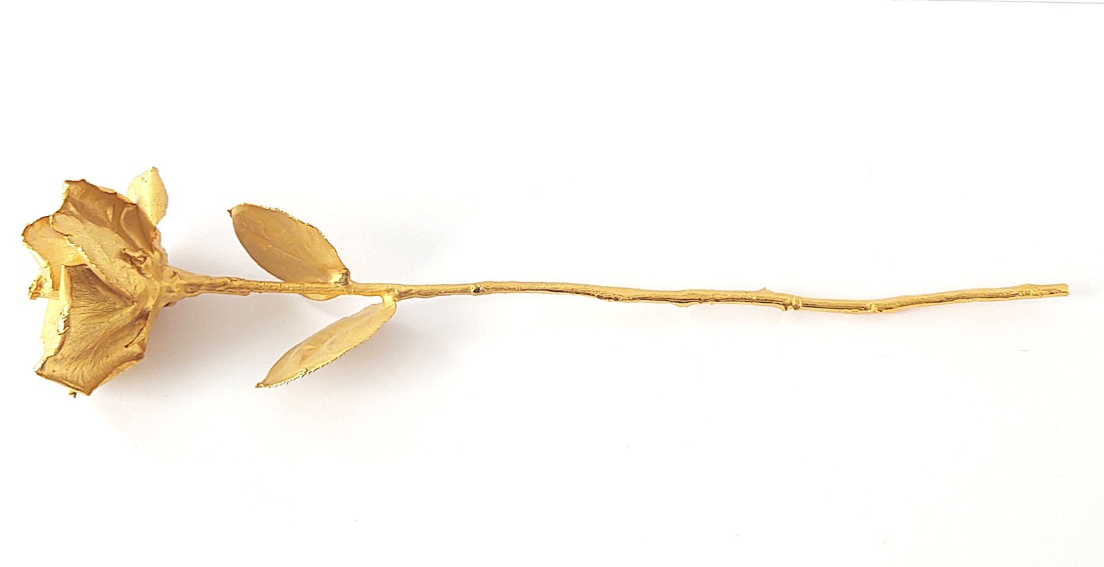 Classic 24K Gold Dipped “Real American Rose” Keepsake – 17.5″ Long
