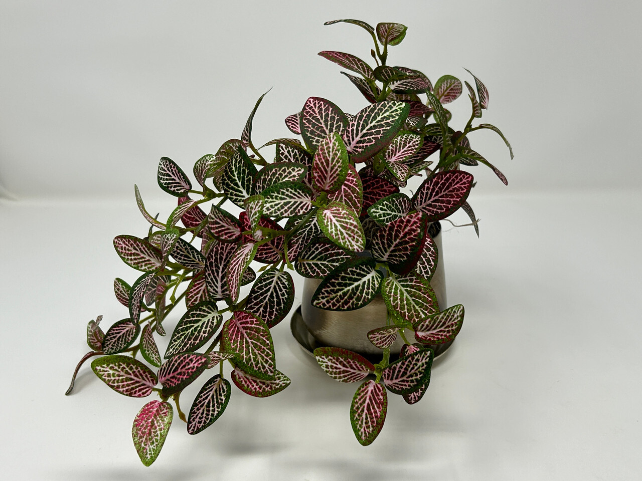 9″ Small Artificial PINK FITTONIA NERVE faux Silk plant in Silver Metal 3.5″ Pot