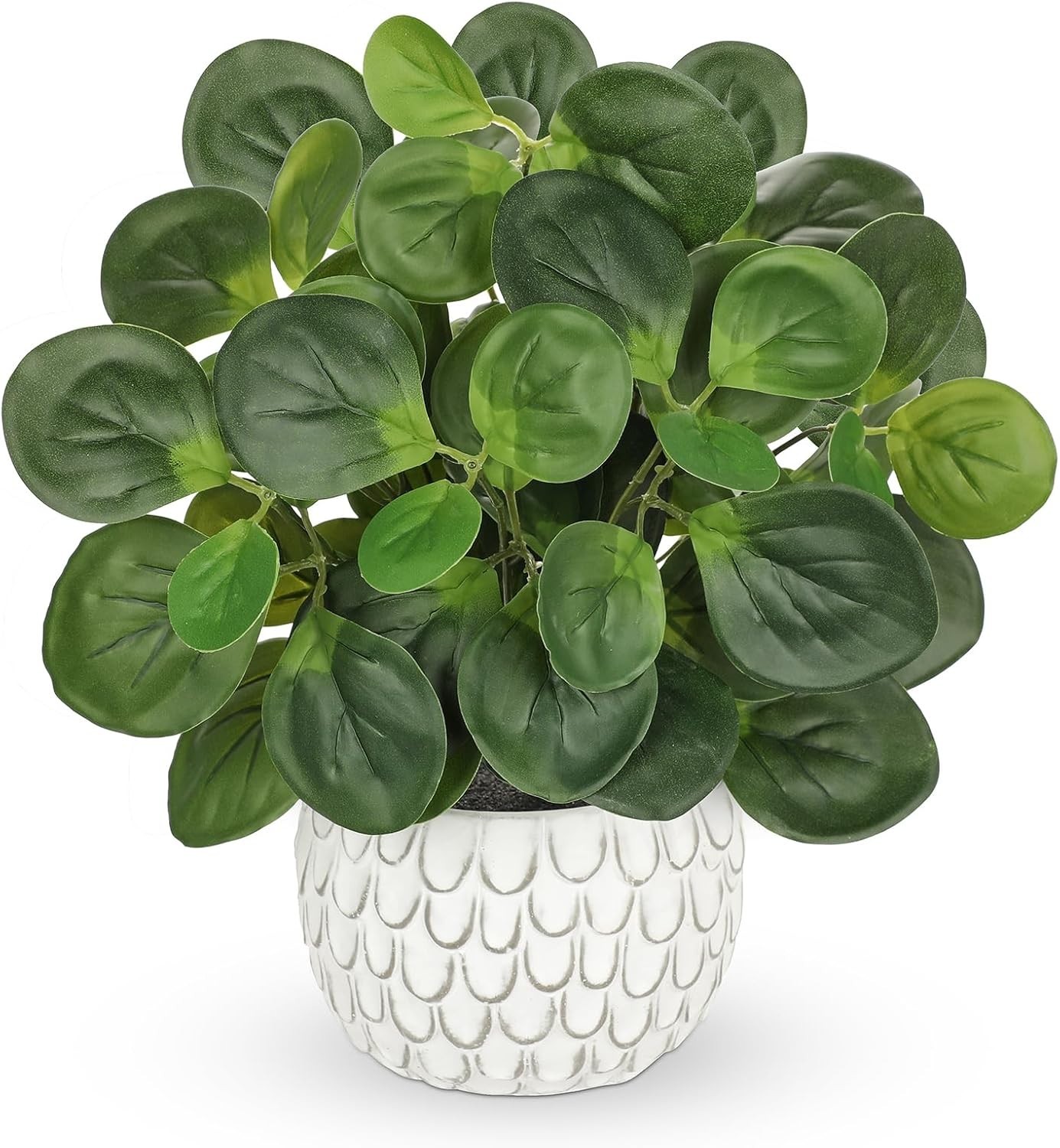 13″ Artificial Plants Indoor Small Fake Plant in White Ceramic Pot | Silk Pla…