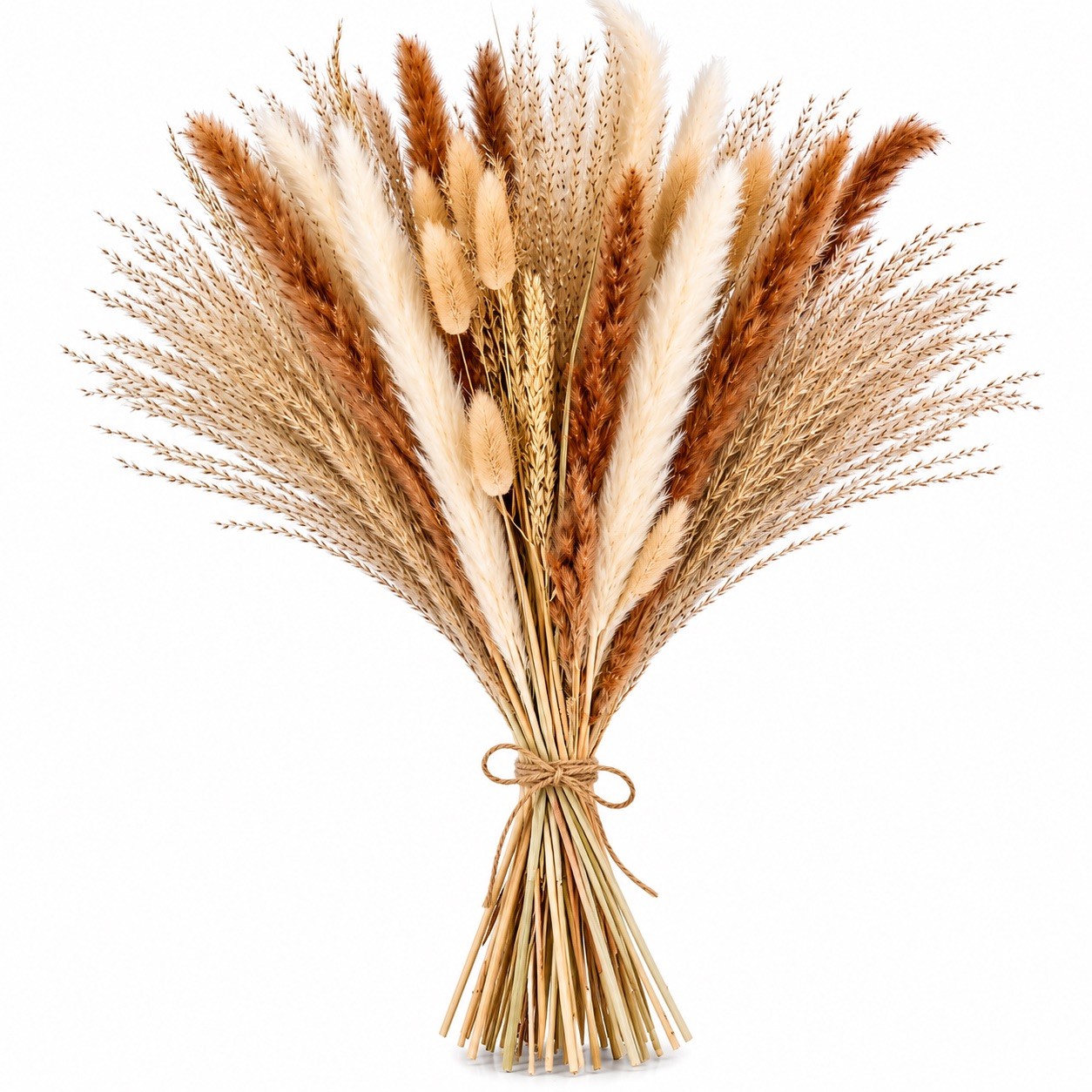 Natural Dried Pampas Grass Bouquet Bunny Tails Boho Wedding Home Decor