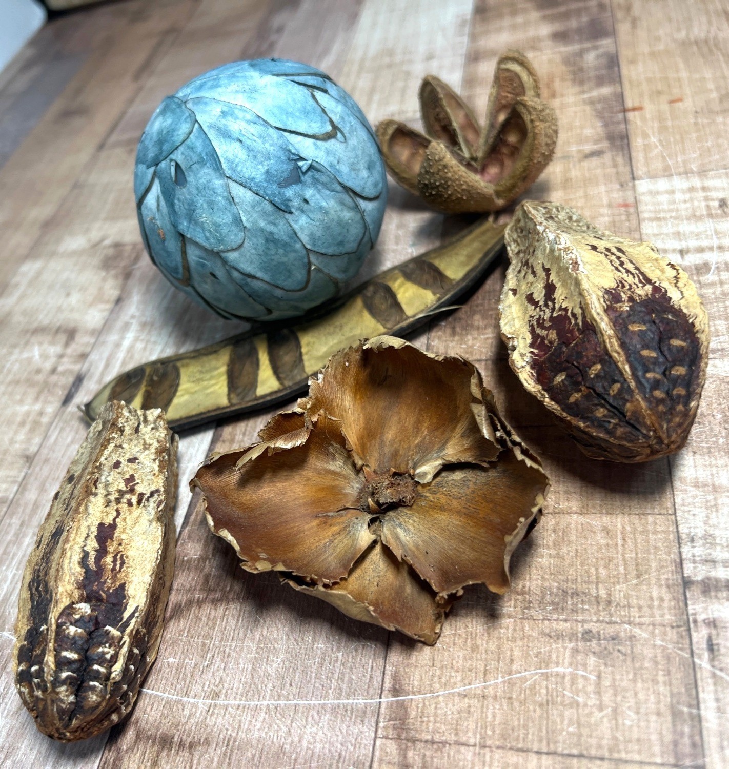 Decorative Natural Pods & Blue Textured Sphere Rustic Accent Pieces