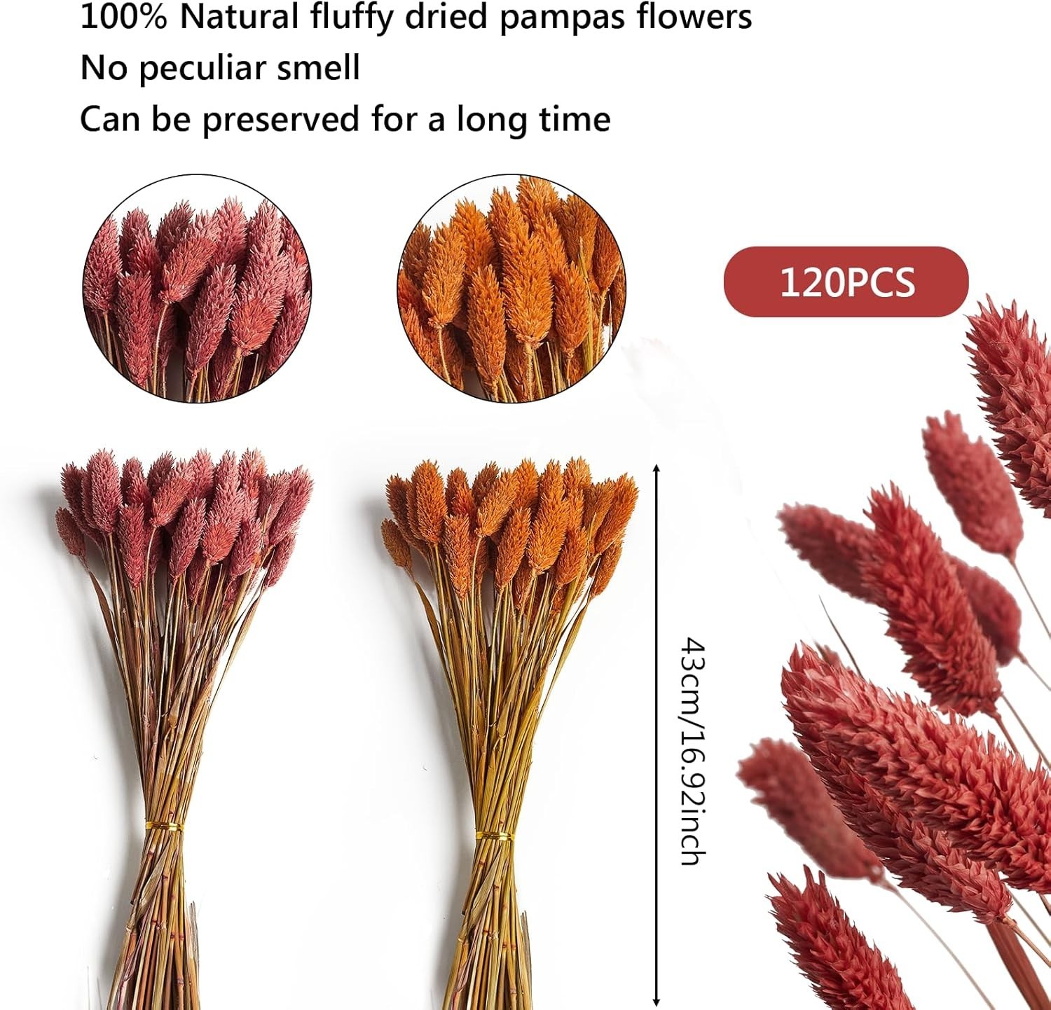 120Pcs Orange Pampas Grass Bunny Tails Dried Flowers, 17″ Dried Fall Flowers …
