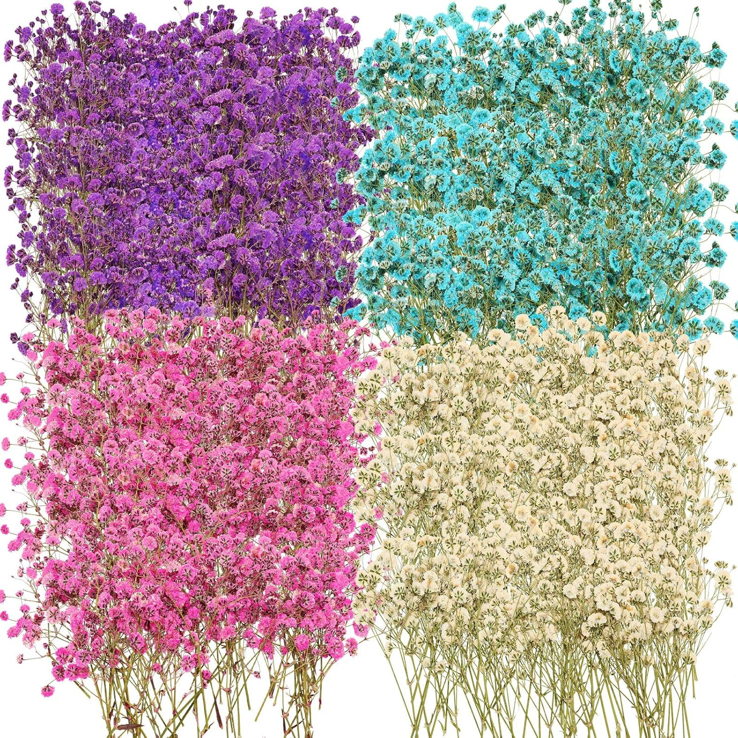 200 Pcs Dried Baby’S Breath Flowers Preserved Baby’S Breath Pressed Gypsophila B