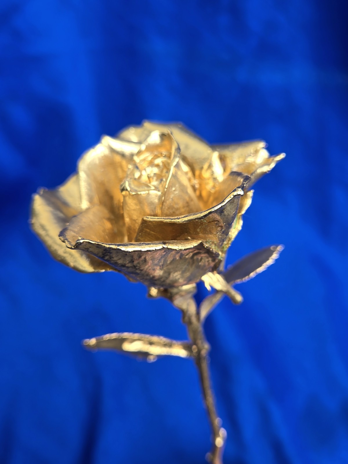 Gorgeous Gold Dipped Rose Semi Open Bud 11″