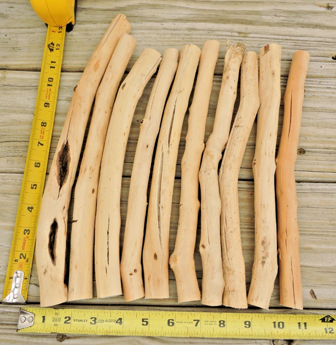 10 Grapevine Wood Stick Section 3/4~1 1/8″D 11~13″L Driftwood Decor Crafts