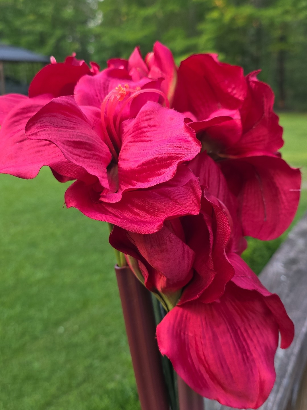 Red Faux Artificial Amaryllis Flowers 27″ Long Stem Bundle 6 Bouquet Set Silk