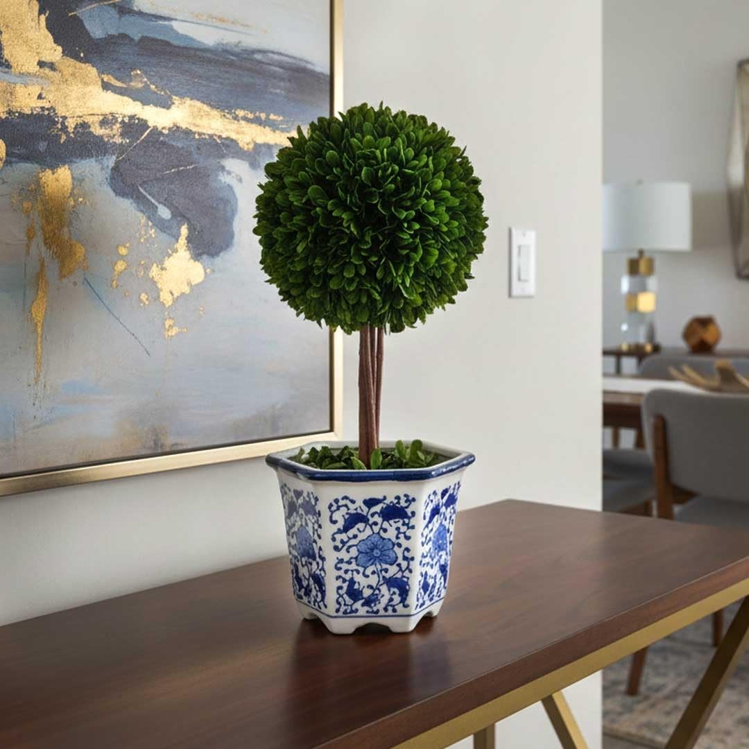 Preserved Boxwood Topiary Tree in Blue & White Ceramic Pot – Plant and Table …