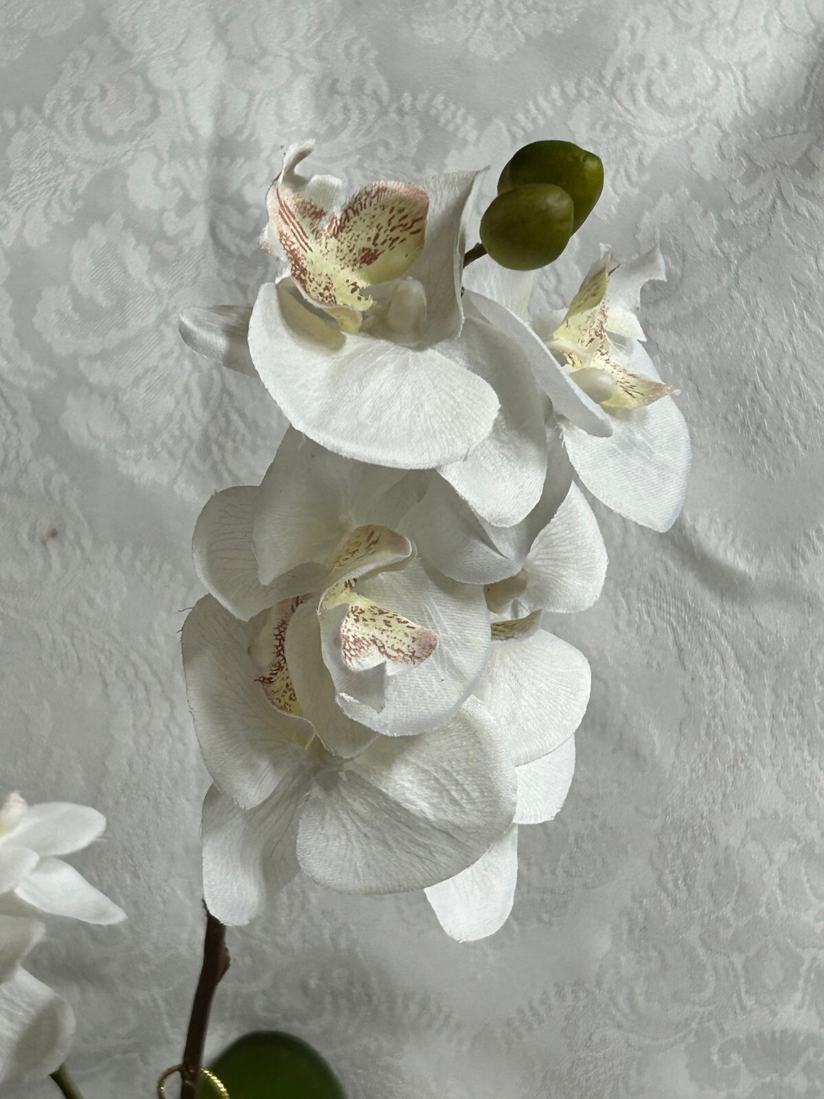 Mackenzie Childs ROYAL TOILE Medium POTTED ORCHID Blue/White Ceramic 17″ T NEW