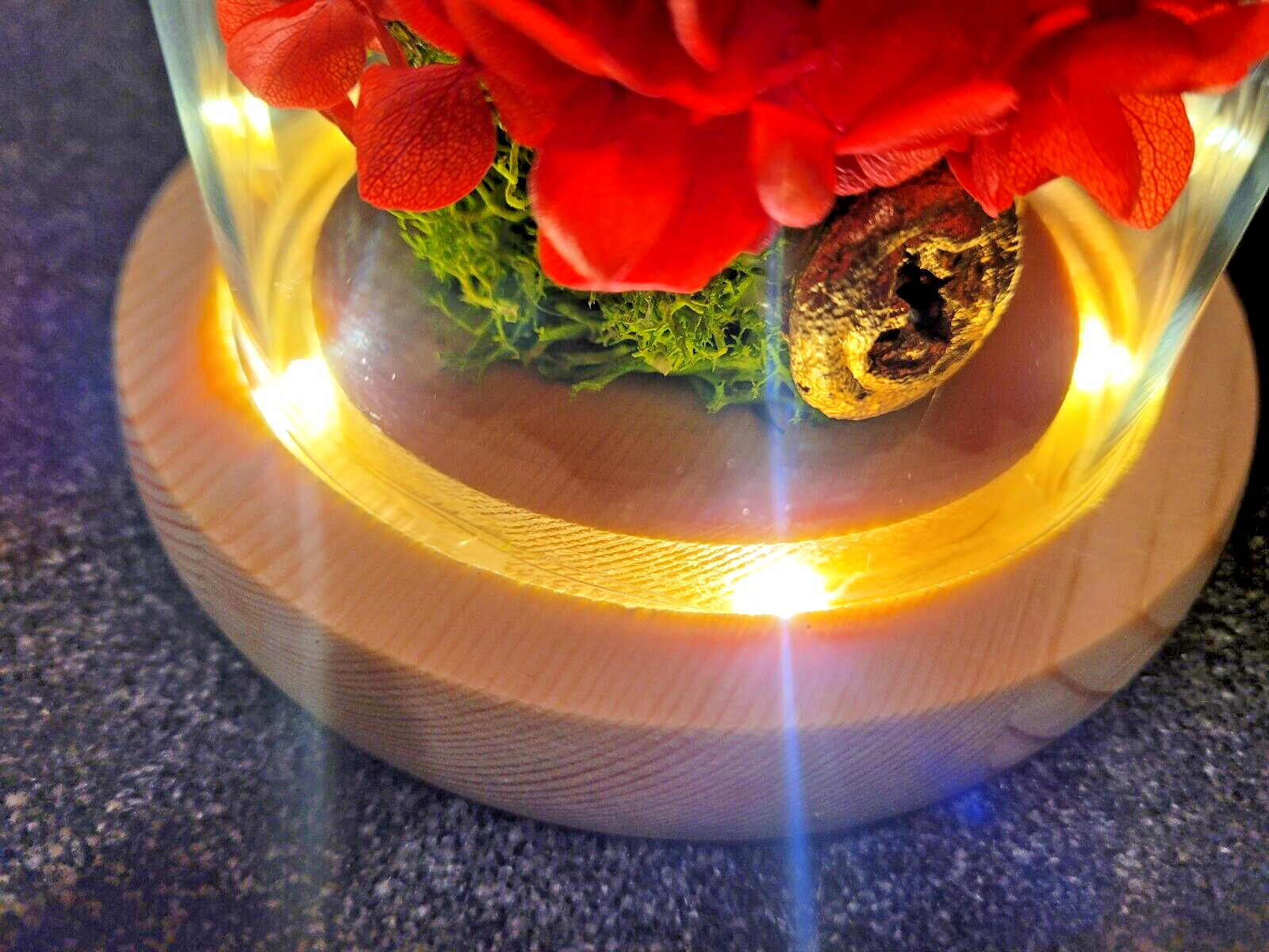 Flower Decoration Glass Cover Wooden Base Valentine’s Day Gift for Girlfriend’