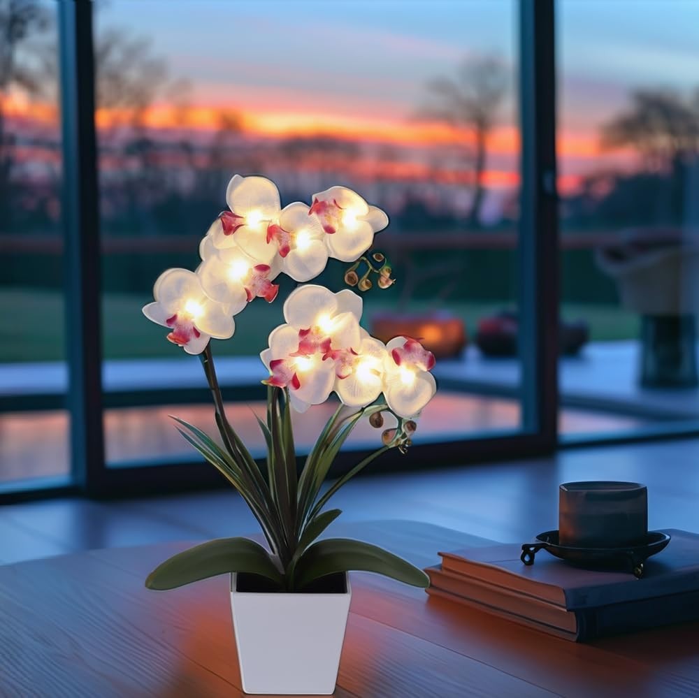 LED Orchid Lamp – Lighted Faux Phalaenopsis Flower Arrangement, Pre-Lit Decor