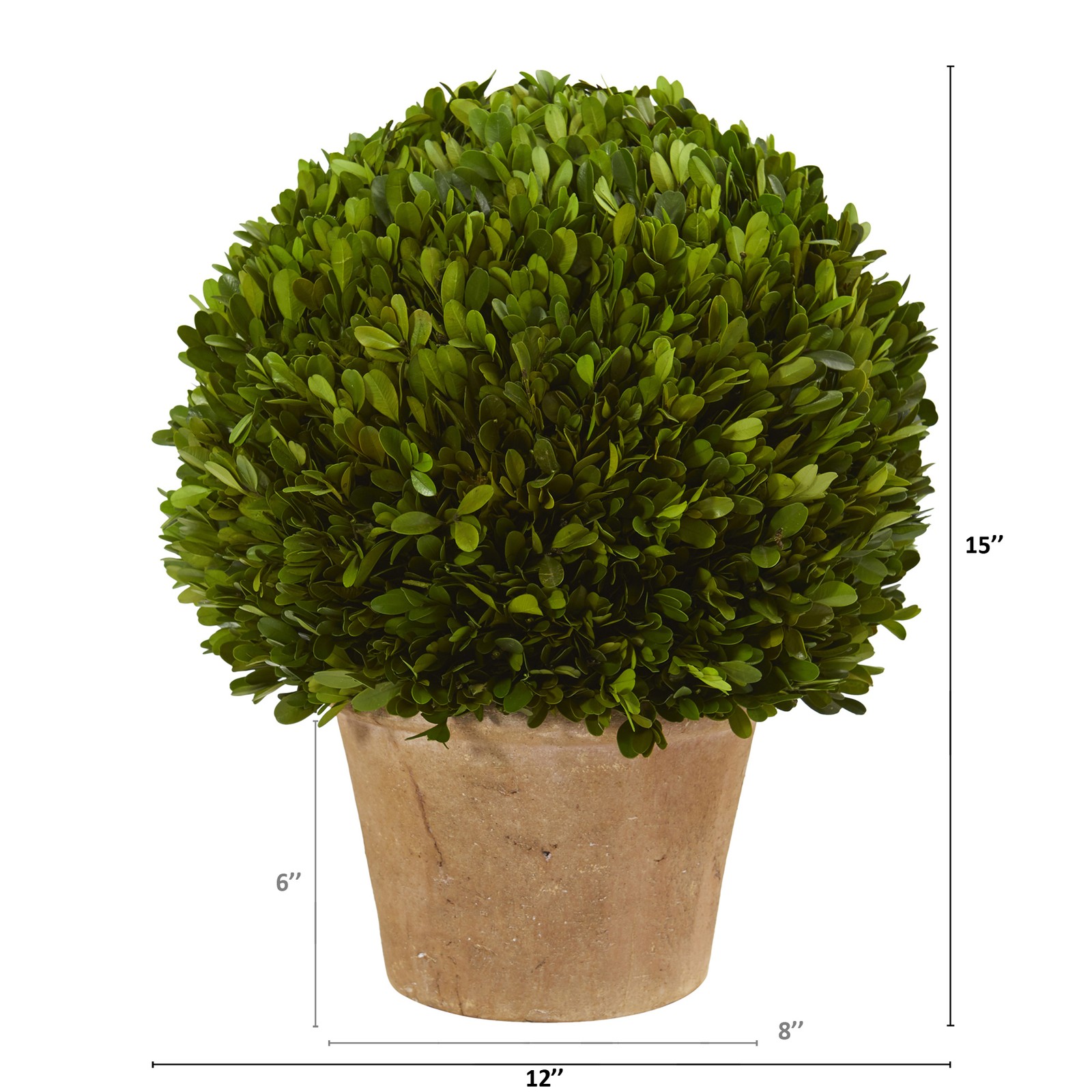 Nearly Natural 15″ Boxwood Ball Preserved Plant in Planter in Green