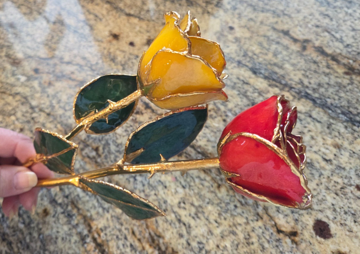 24K ROSE CO Real Forever Rose 11″ Everlasting Gift of Love – Red Only￼