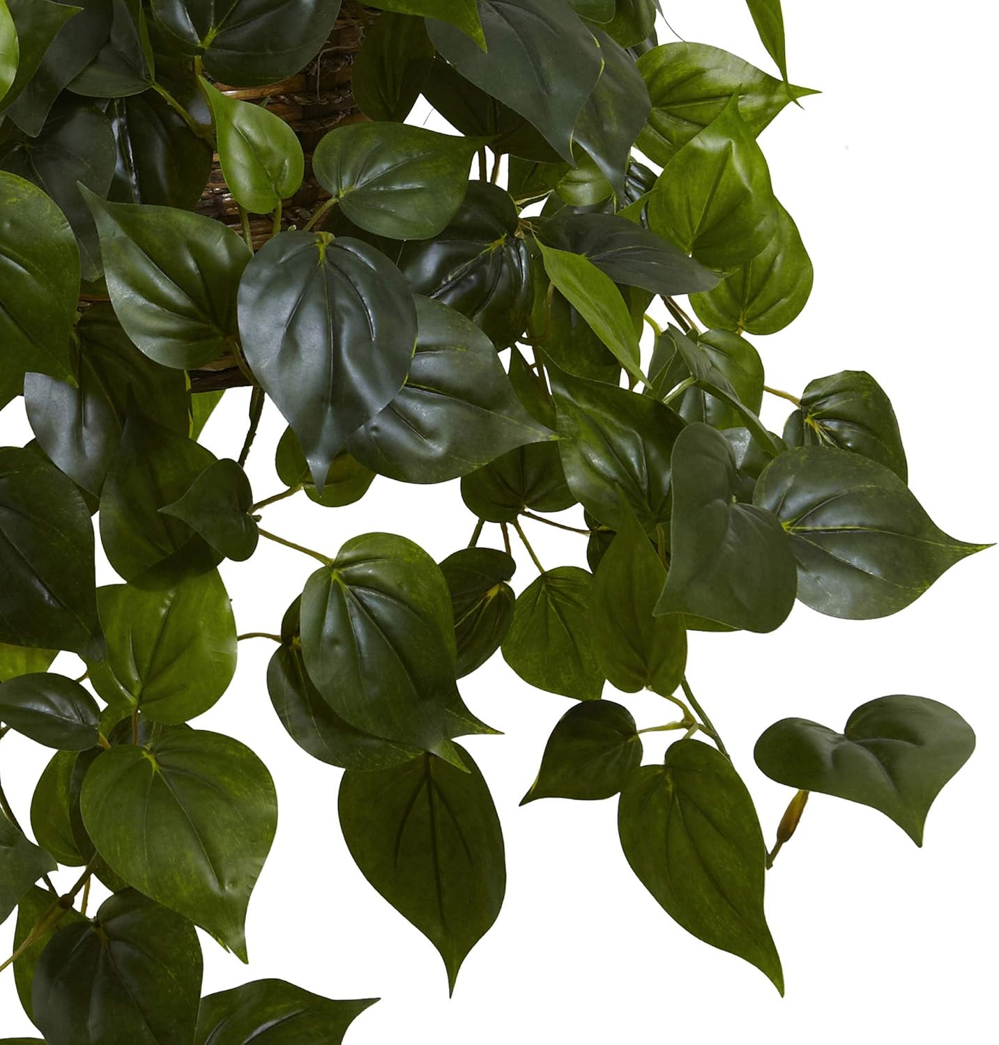 UV Resistant Philodendron Hanging Basket for Indoor & Outdoor Use
