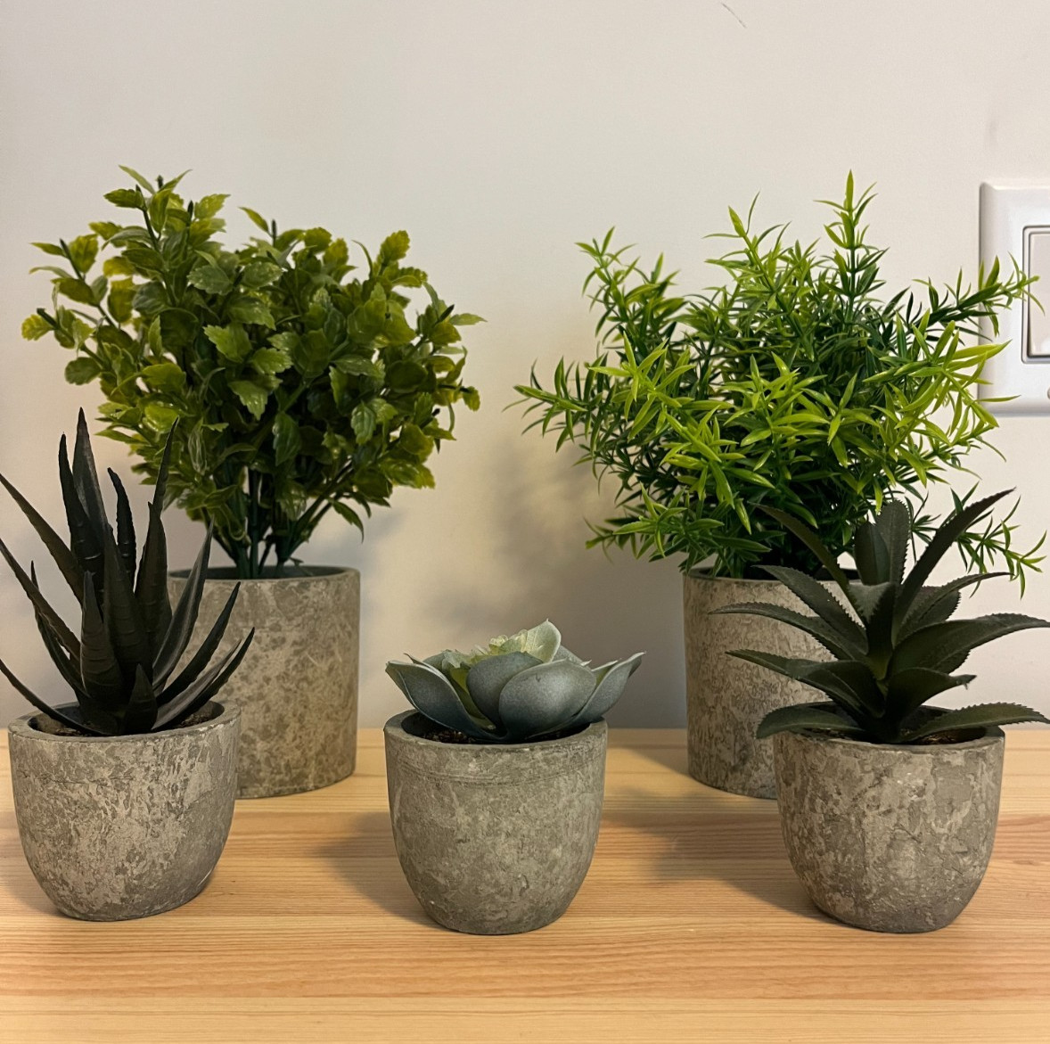Memeaty Set of 5 Small Artificial Plants | Fake Rosemary Peppermint Succulents