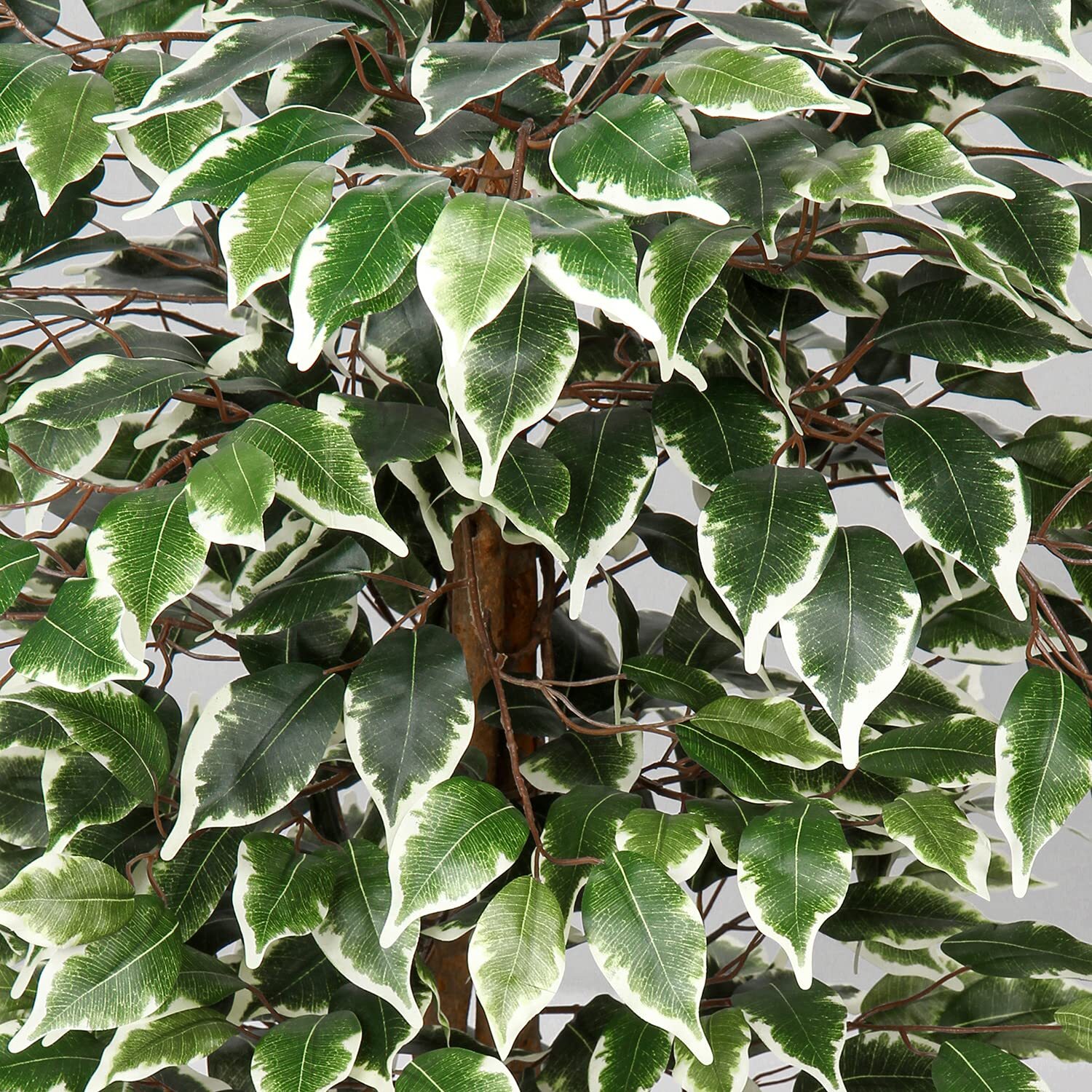 Artificial Ficus Tree 6ft In Cotton Pot Fake Silk With Green White Leaves Natura