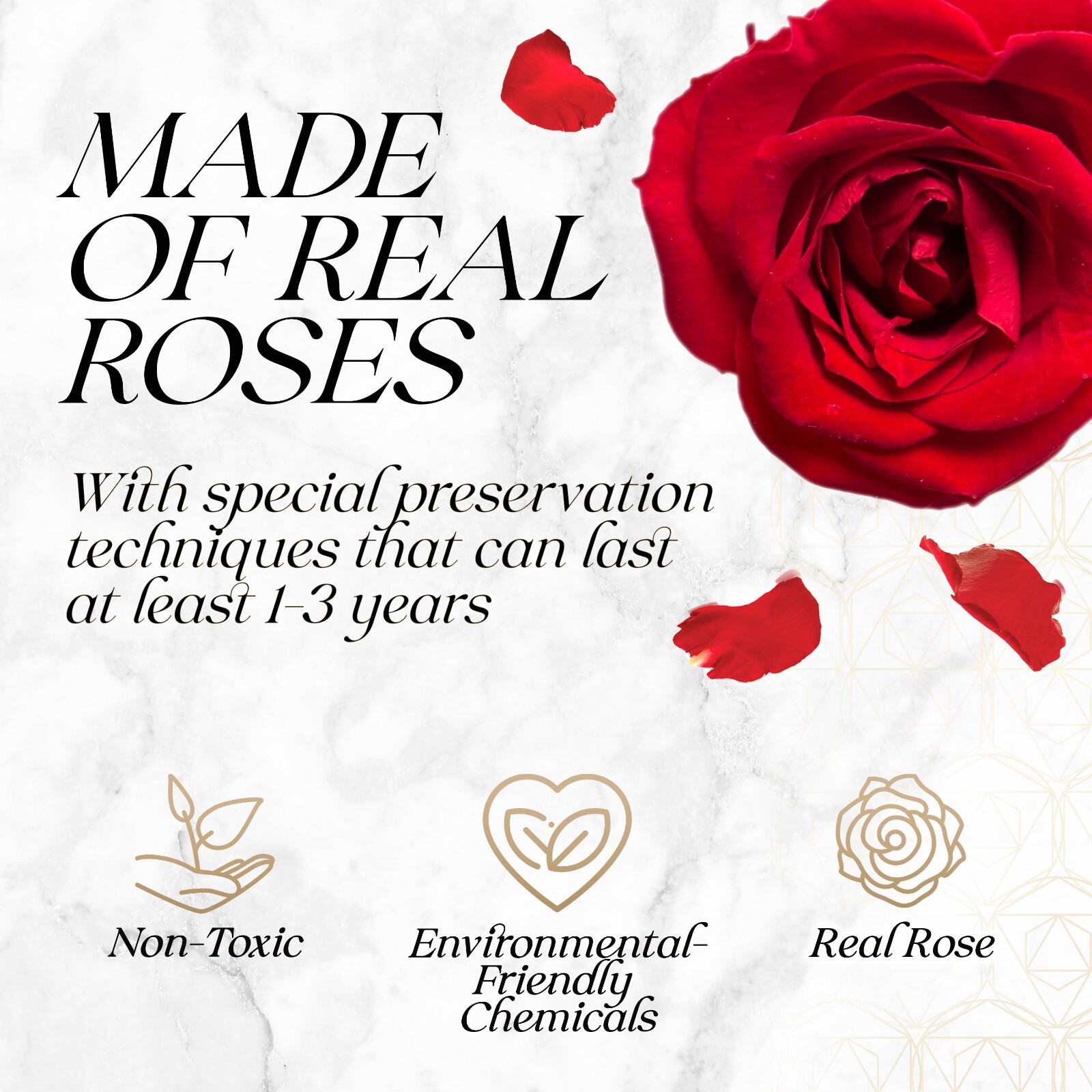 Glamour Boutique 16-Piece Forever Rose Acrylic White Gift Box – Preserved Roses