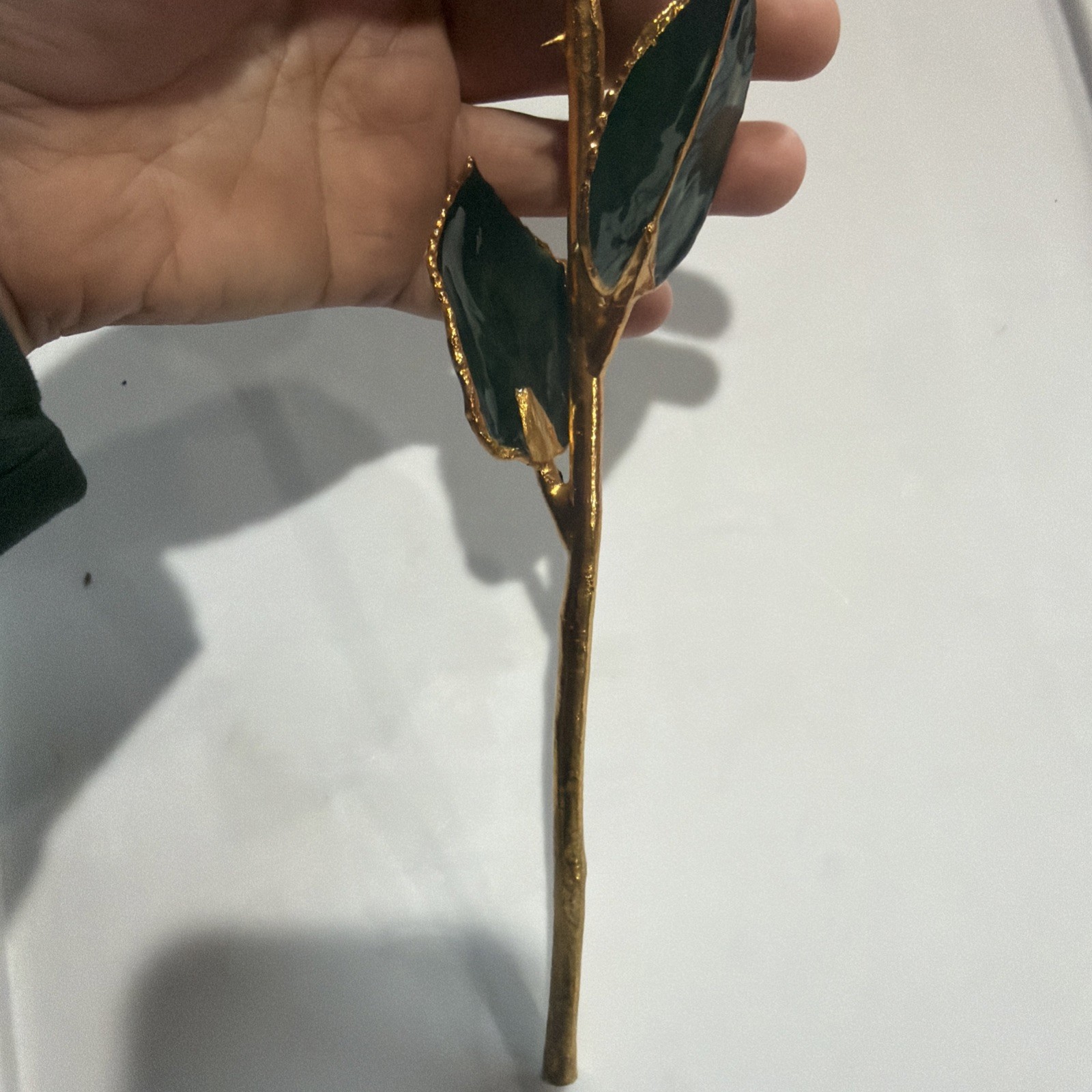 Forever Rose, Genuine Real Rose, Hand Dipped in Lacquer and Trimmed in 24K Gold