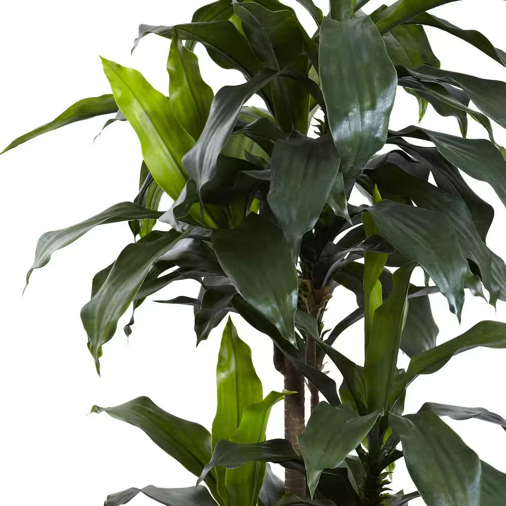 5 Ft. Artificial Indoor/Outdoor UV Resistant Dracaena Plant