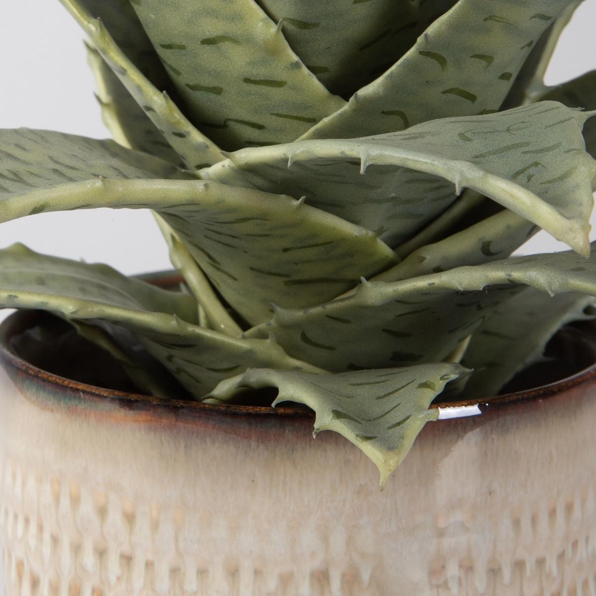 Uttermost 60208 Seaside Succulents Artificial Flower or Plant