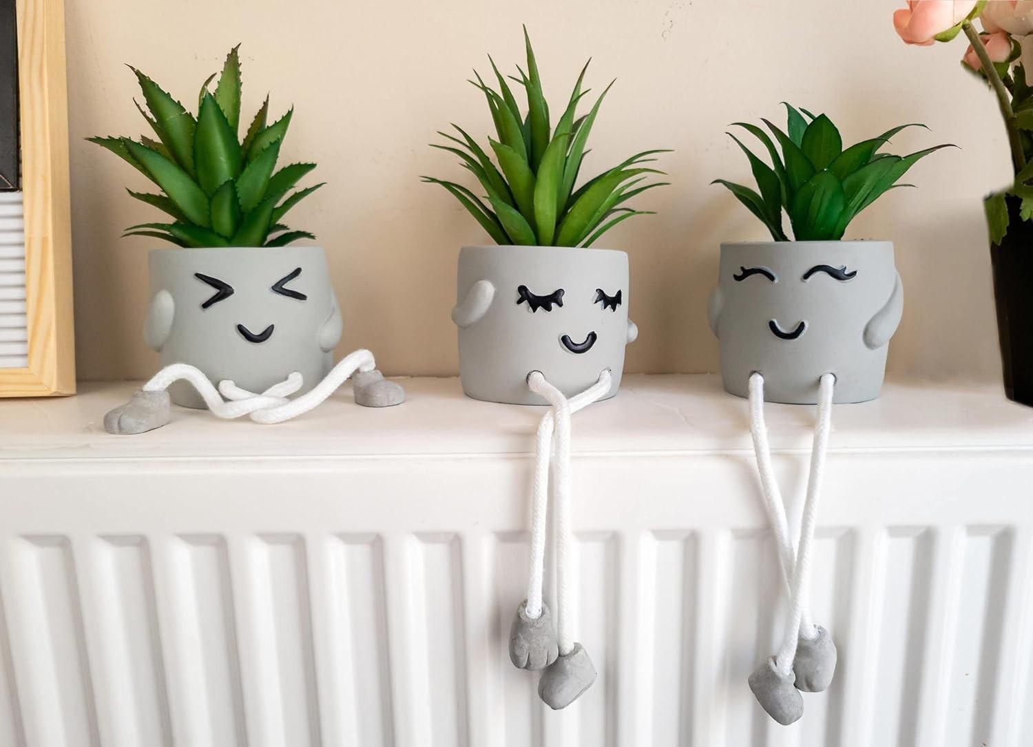 Fun Succulent Shelf Decor – Low-Maintenance Fake Plants for Office Aesthetics