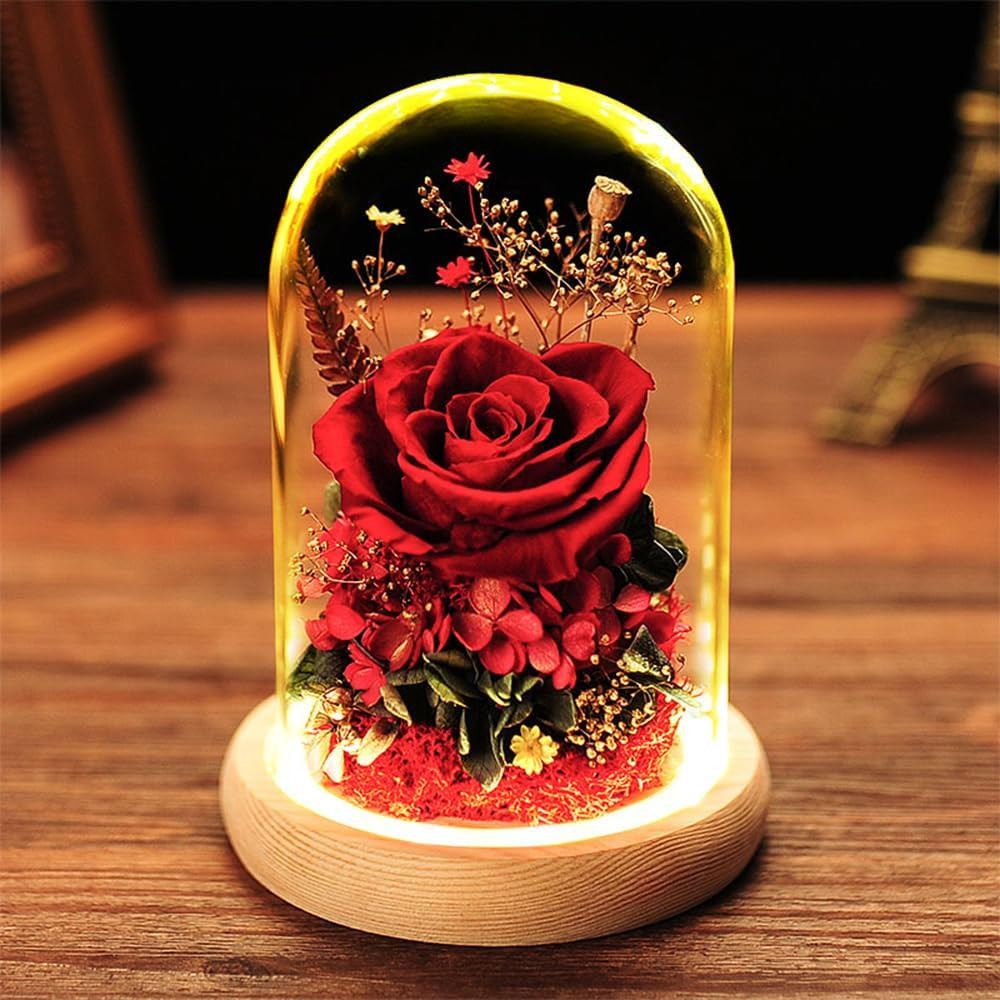 Eternal Rose Gift Set in Glass Dome – Red | Preserved Rose with LED Light | Vale