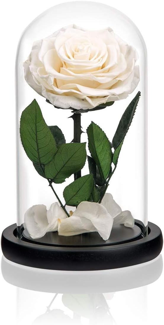 Stylish Glass Dome with Preserved Rose – Perfect Birthday or Mother’s Day Gift