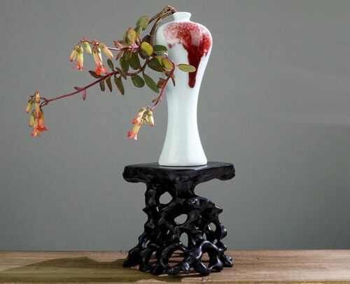 Ebony Wood Root Carved Display Rack Bonsai Curio Craft Collectables Base Decor