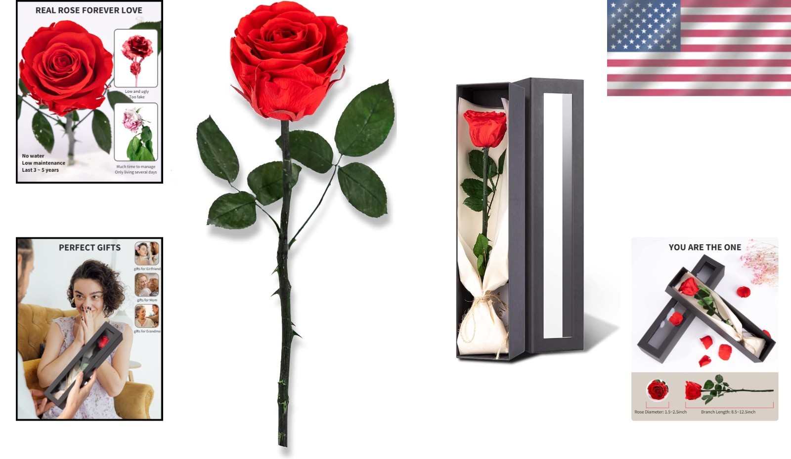 Elegant Preserved Roses for Delivery – Perfect Gifts for Women on Any Occasion