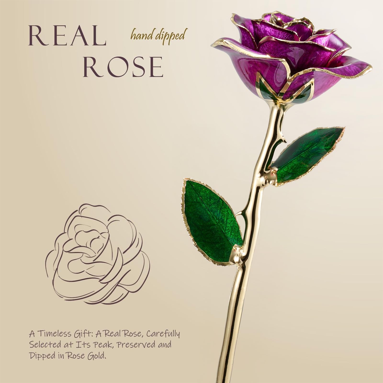 Gold Dipped Rose 24K – Forever Gift for Her,Perfect for ,Girlfriend Gifts,Val…