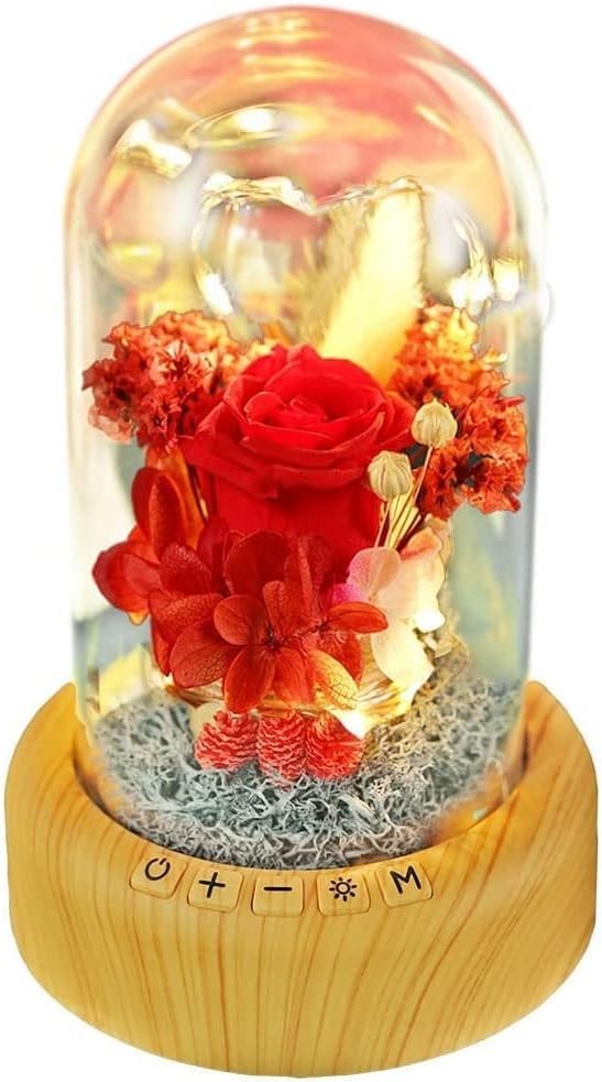 Mother’s Day Red Rose Night Light Real Eternal in Glass Dome, Preserved Rose …