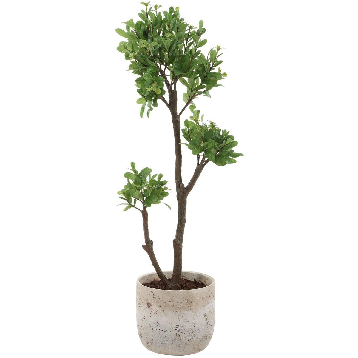 Uttermost 60266 Arbor Strawberry Aged Ivory and Green Tree