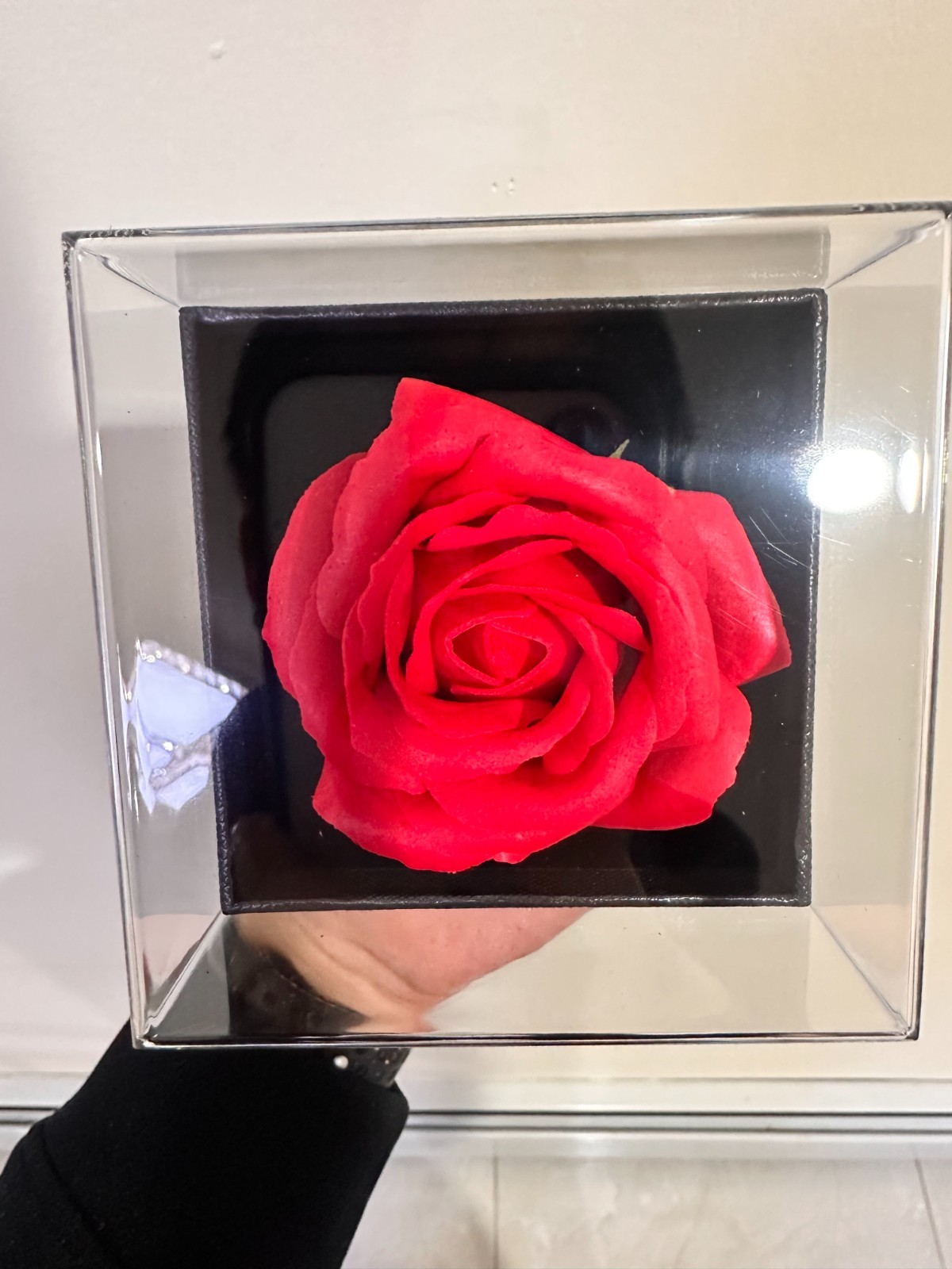Preserved Eternal Rose Flower Gift Box With Necklace – Romantic Gift for Her