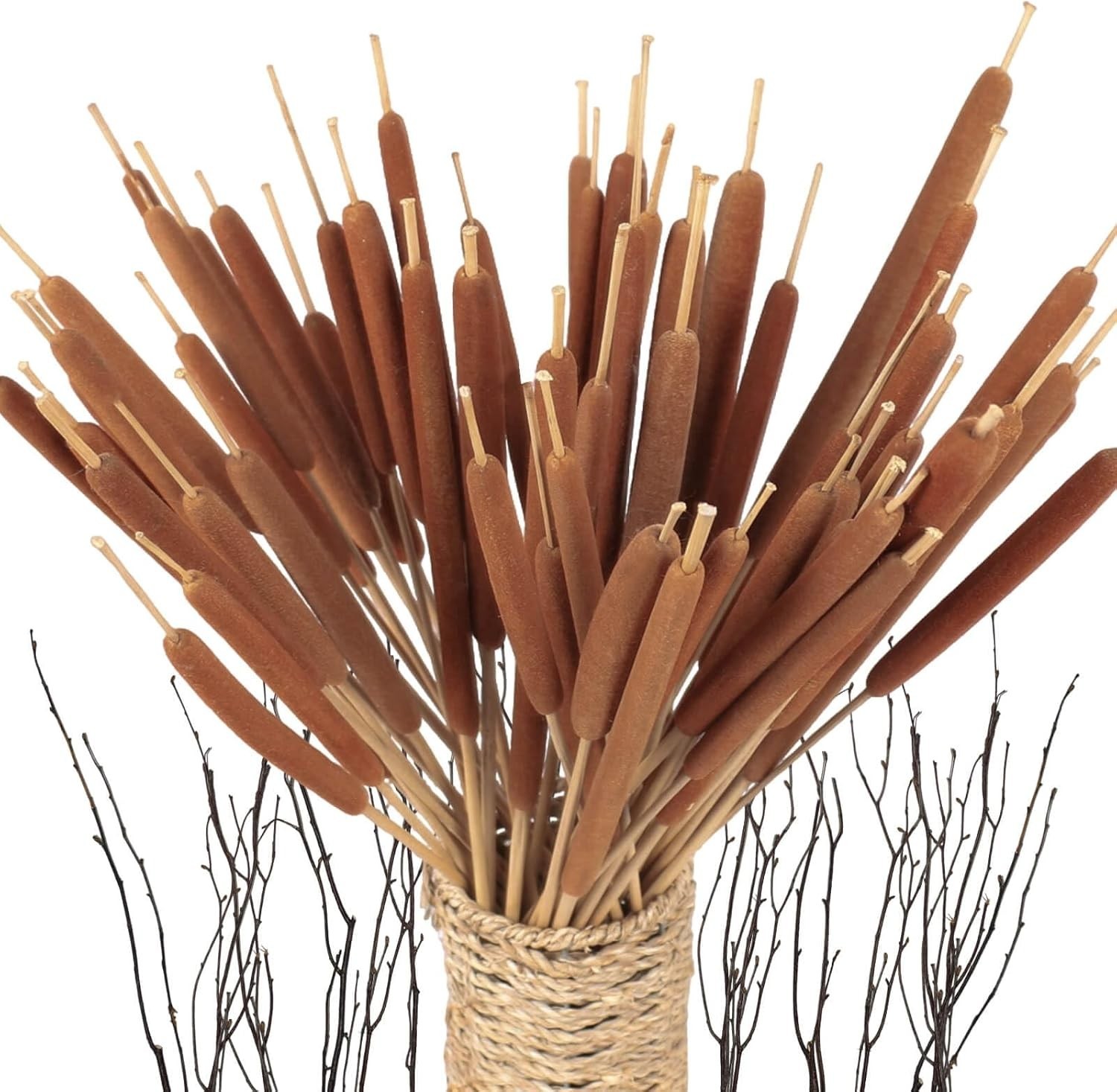 45pcs Large Natural Brown Cattails Bundles – Dried Flowers Real Cat