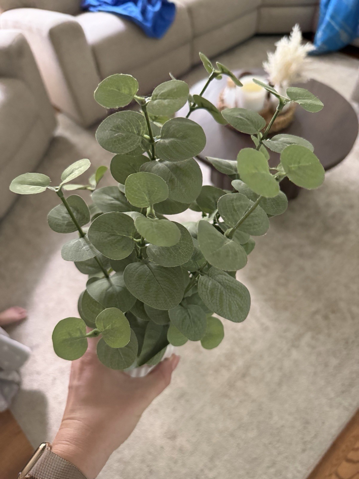 Faux Plant