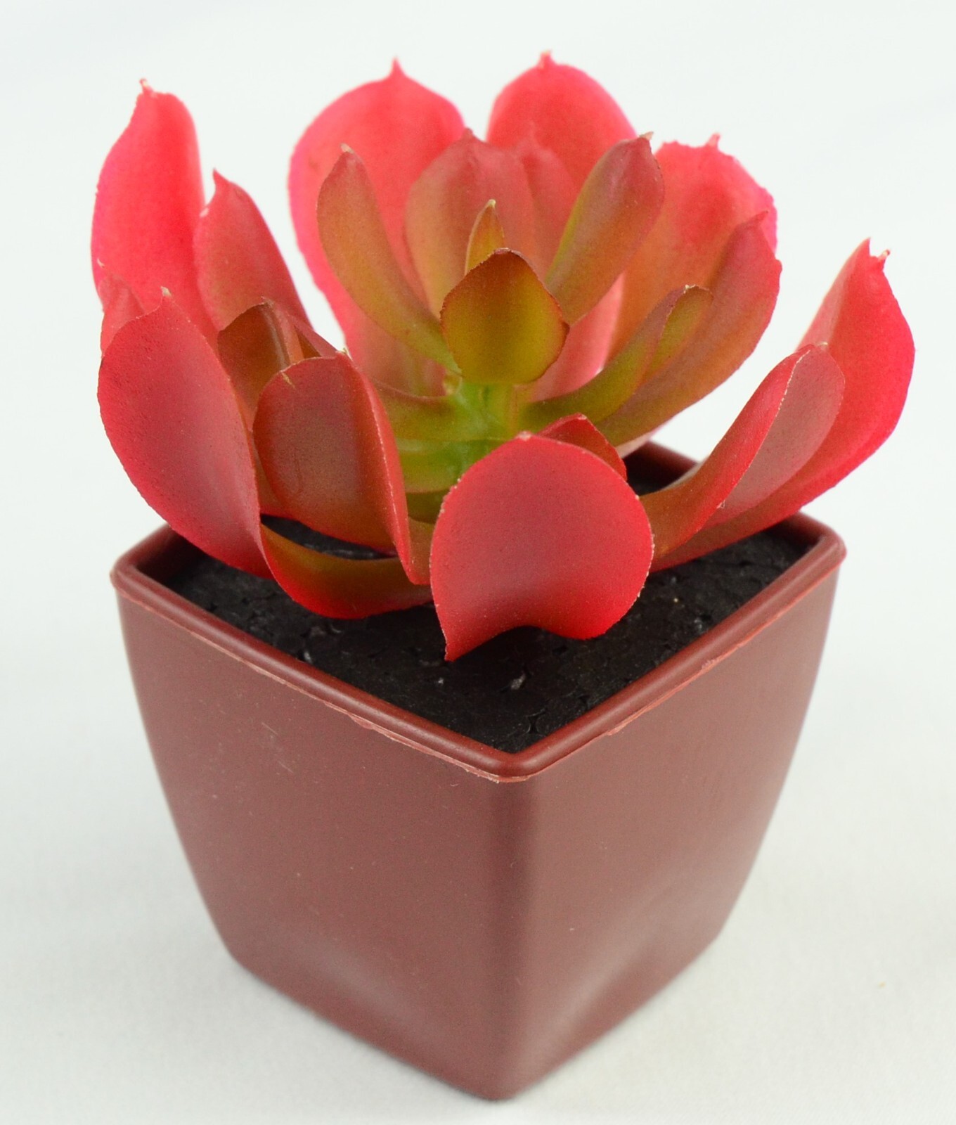 Artificial Succulent 3 in. Plastic Plant Be The Change Sign Decor – 2 Piece Set