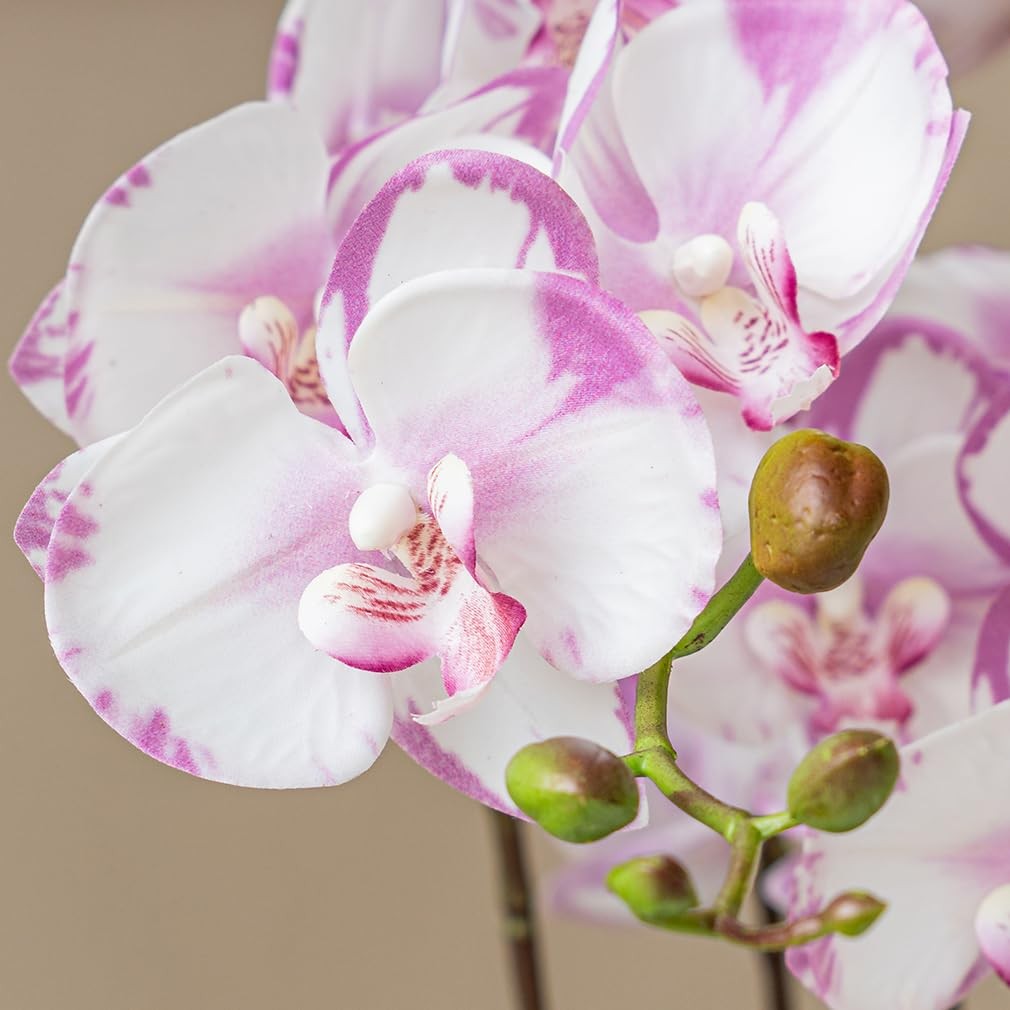 35 Inch Artificial Butterfly Orchid Flowers 4 Pcs with 4 Bundles Leaves Artif…