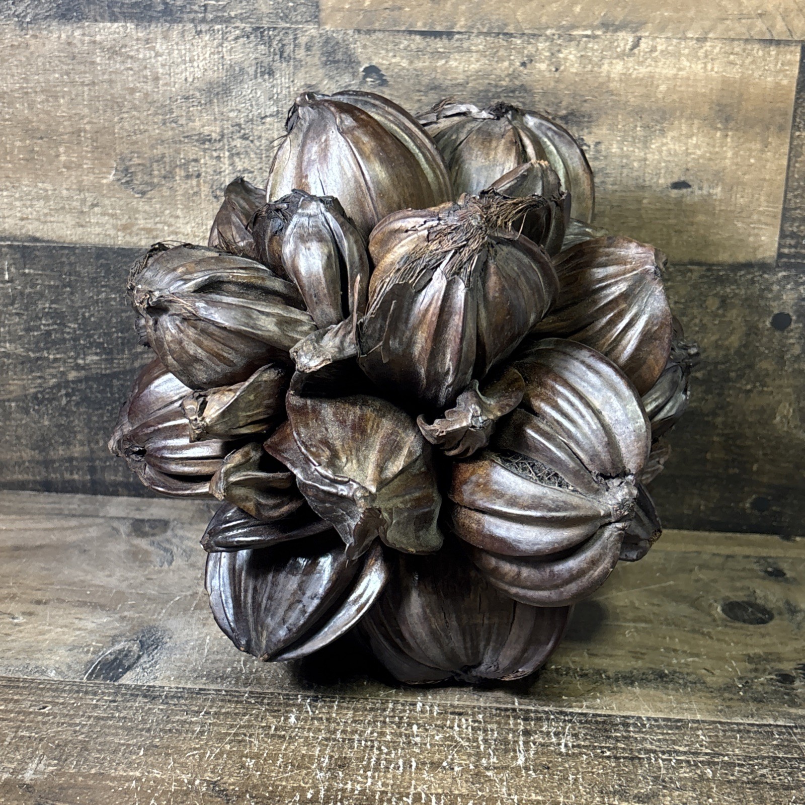 Vietnamese Water Coconut Nipa Palm Fruit Cluster Seed Pod Decor Decoration